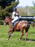 IMG_1957 IMG_1957