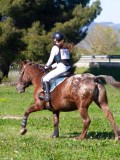IMG_1958 IMG_1958