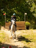 DSC00131 DSC00131