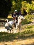DSC00134 DSC00134