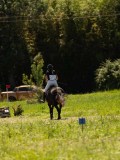 DSC01379 DSC01379