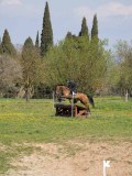 IMG_9612