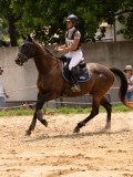 DSC00327