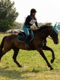 DSC00913
