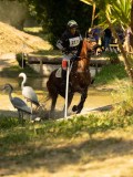 DSC00164 DSC00164