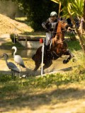 DSC00165 DSC00165