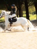 DSC00384 DSC00384