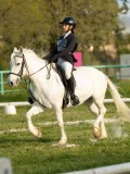 DSC08244 DSC08244