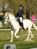 DSC08245 DSC08245