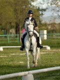 DSC08252 DSC08252
