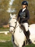 DSC08254 DSC08254
