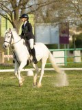 DSC08256 DSC08256