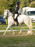 DSC08258 DSC08258