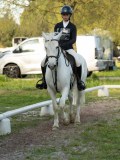 DSC08259 DSC08259