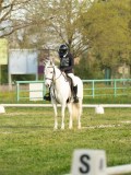 DSC08262 DSC08262