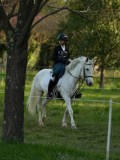 DSC08265 DSC08265