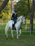 DSC08266 DSC08266