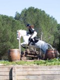 IMG_1964 IMG_1964