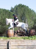 IMG_1965 IMG_1965
