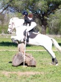 IMG_1968 IMG_1968