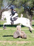 IMG_1969 IMG_1969