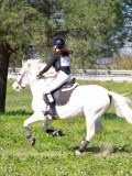 IMG_1976 IMG_1976