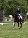 IMG_0915 IMG_0915