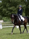 IMG_0916 IMG_0916