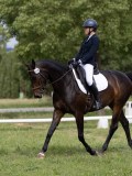 IMG_0917 IMG_0917