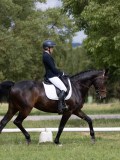 IMG_0919 IMG_0919
