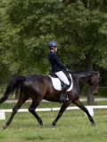 IMG_0920 IMG_0920