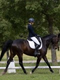 IMG_0923 IMG_0923