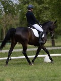 IMG_0924 IMG_0924
