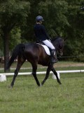 IMG_0925 IMG_0925