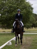 IMG_0934 IMG_0934