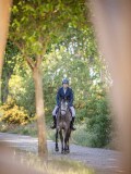 IMG_8569 IMG_8569