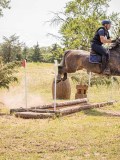 IMG_9550 IMG_9550