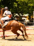 DSC00049 DSC00049