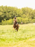 DSC00678 DSC00678