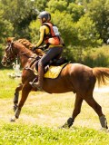 DSC00681 DSC00681