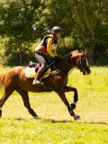 DSC00684 DSC00684