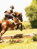 DSC00685 DSC00685