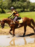 DSC01388 DSC01388