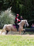 IMG_5316