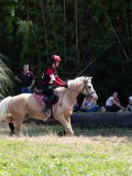 IMG_5318
