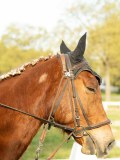 DSC08273 DSC08273