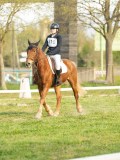 DSC08274 DSC08274