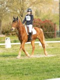 DSC08275 DSC08275