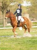 DSC08276 DSC08276