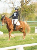 DSC08285 DSC08285
